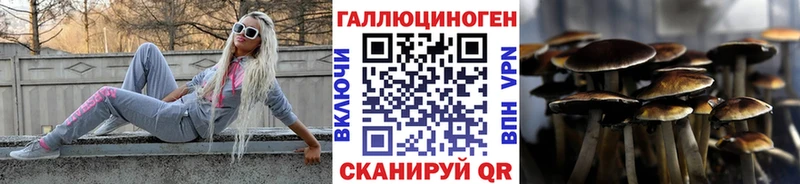 продажа наркотиков  Николаевск  Псилоцибиновые грибы Cubensis 